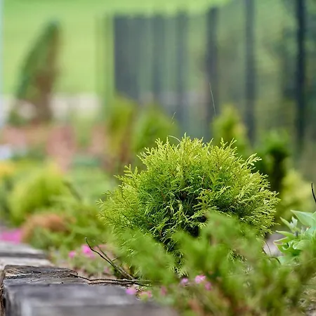 Wrzosowy Zakatek Σπίτι διακοπών *