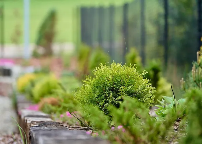 Wrzosowy Zakatek 別荘 *